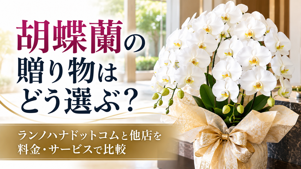胡蝶蘭の贈り物を比較する華やかな広告