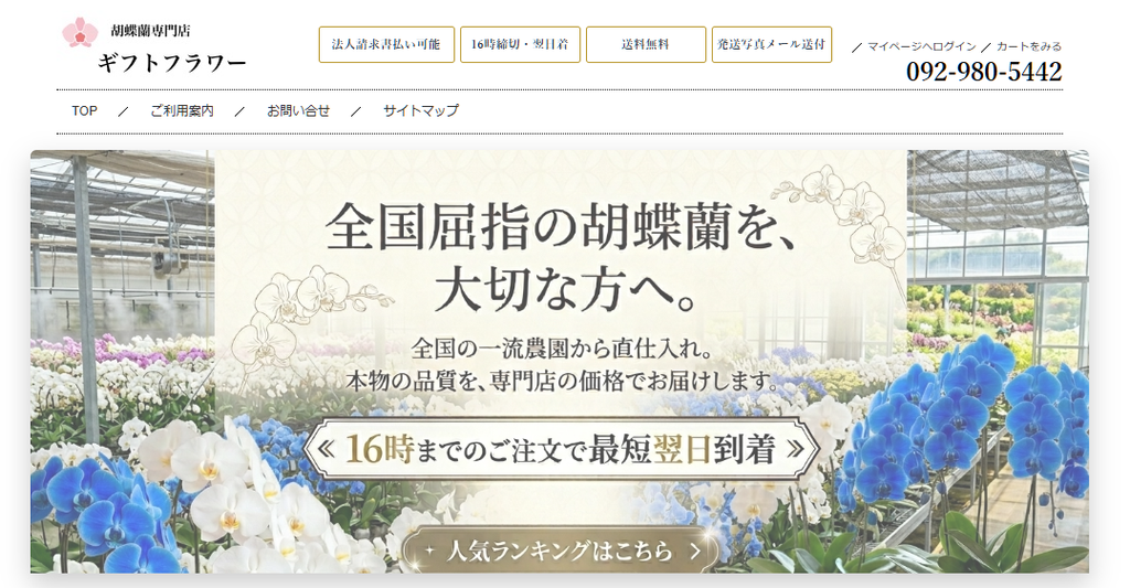 胡蝶蘭専門店ギフトフラワー