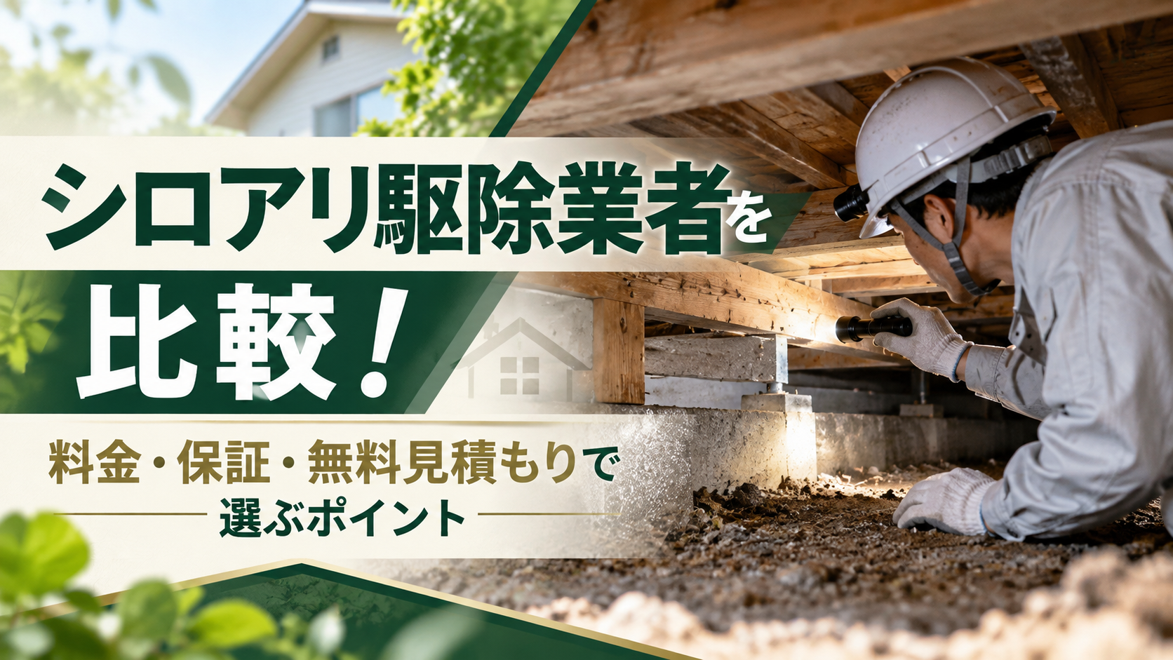 シロアリ駆除業者を比較!料金・保証・無料見積もりで選ぶポイント