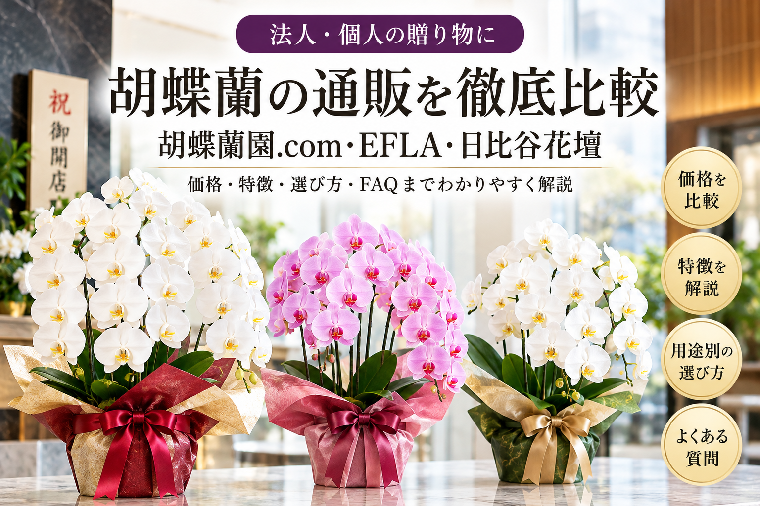 胡蝶蘭園.comを徹底解説!胡蝶蘭通販の料金・品質・サービスを比較